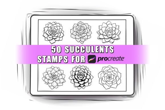 Download Succulent Procreate Stamps Brushes - Procreate Collection
