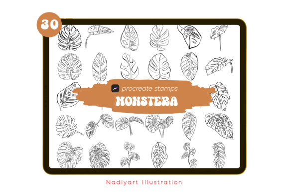 Download 30 Monstera Leaves Procreate Stamps - Procreate Collection