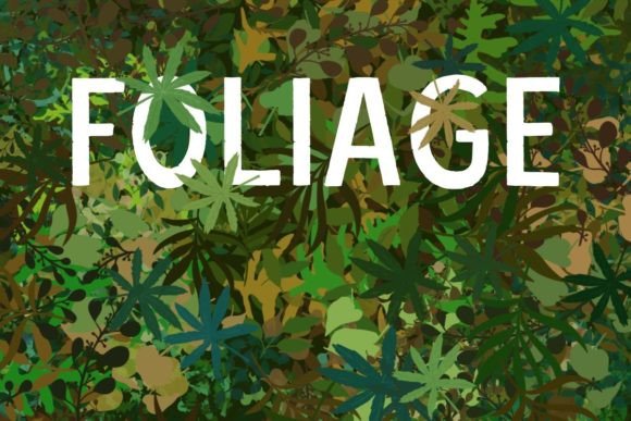 Download Procreate Foliage Brush Set - Procreate Collection
